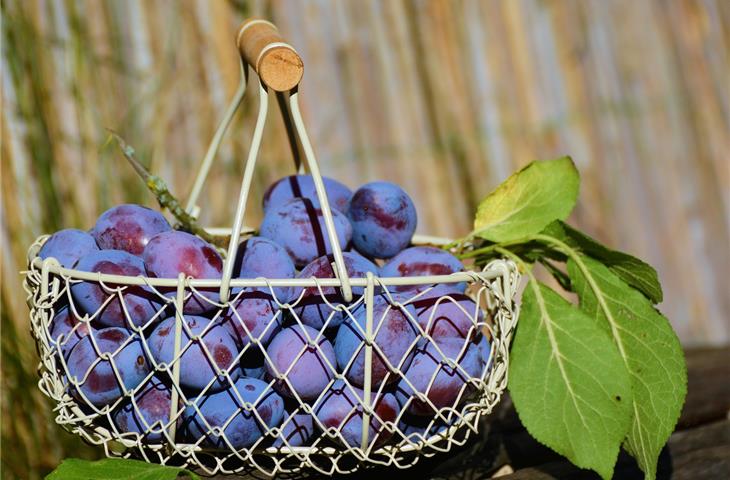 travel gift basket