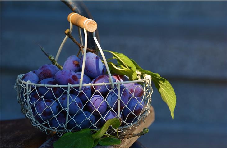 travel gift basket